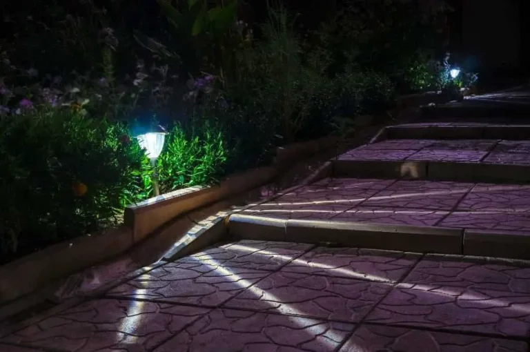 Solar Lights Staying on During the Day? Here’s What to Do!