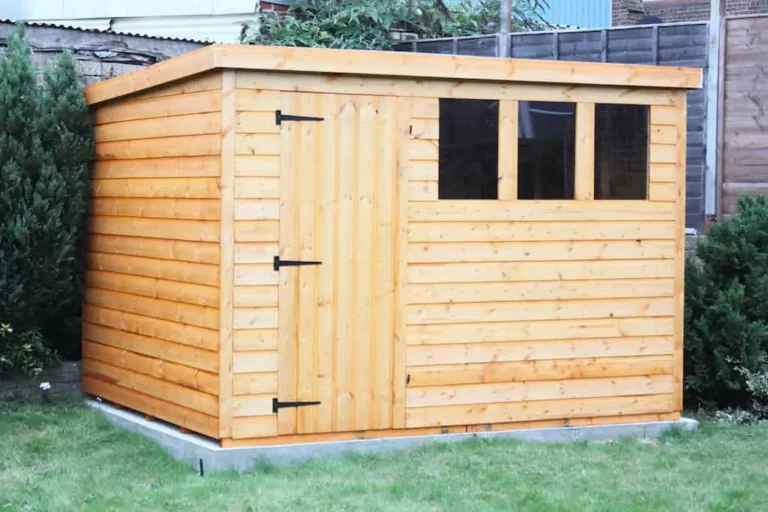 Treated or Untreated Wood for Shed