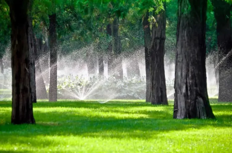 How Can I Find My Sprinkler Lines Without Digging?