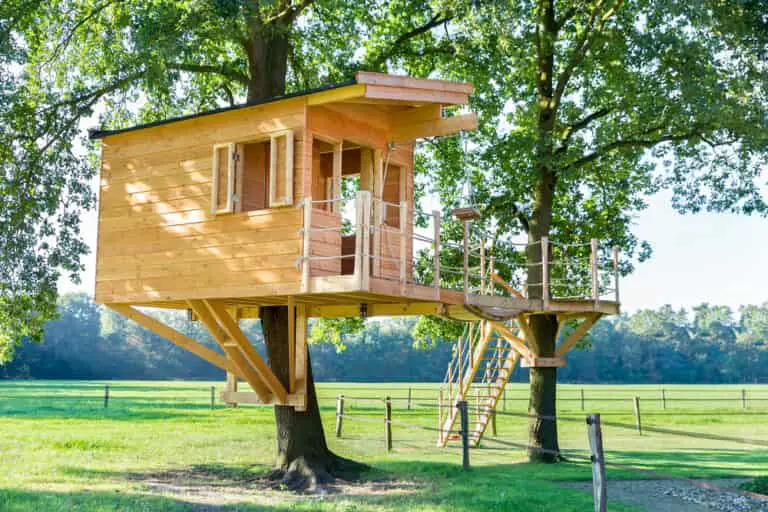 How Tall Should A Treehouse Be?