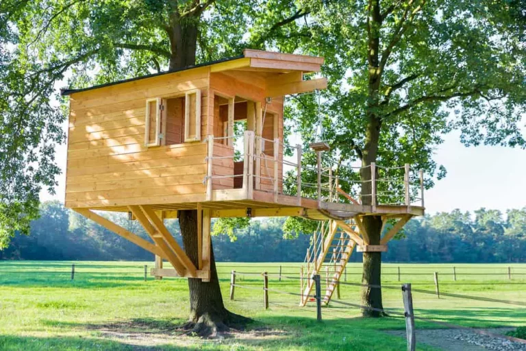 How Tall Should A Treehouse Be?