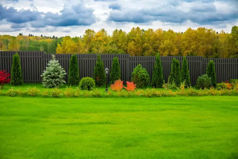 Simple Backyard Landscaping Ideas Along Fence
