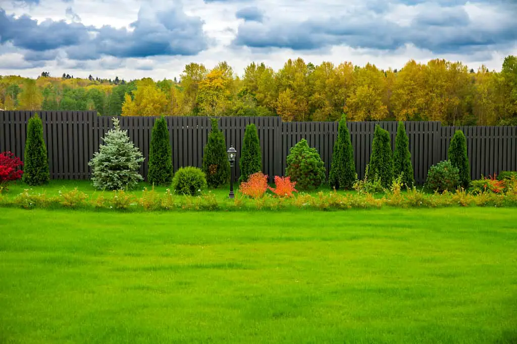 Backyard Landscaping Ideas Along Fence