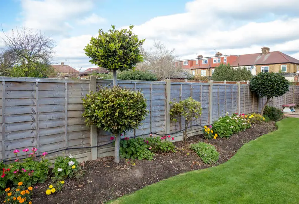 garden bed below the fence