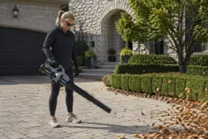 Best Leaf blowers