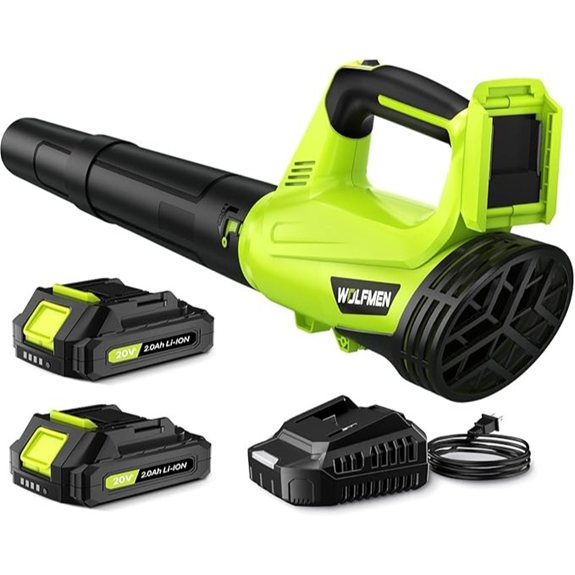 Electric Cordless Leaf Blower with 2 Batteries