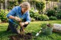 weed removal backyard tips